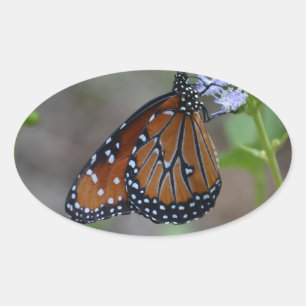 Monarch Butterfly in de vlinderserie van LellO Ovale Sticker