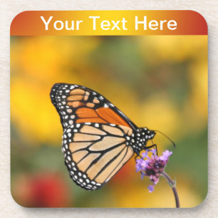 Monarch Butterfly in Search of Pollen Drankjes Onderzetter