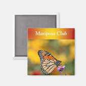 Monarch Butterfly in Search of Pollen Magneet (Voorkant / Achterkant)