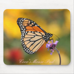 Monarch Butterfly in Search of Pollen Muismat