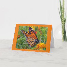 Monarch Butterfly Kaart