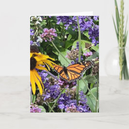 Monarch Butterfly Kaart