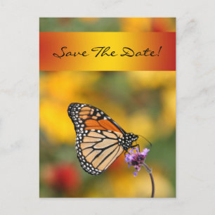 Monarch Butterfly-kaart Aankondigingskaart