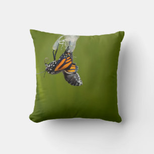 Monarch Butterfly komt uit Cocoon Pillow Kussen