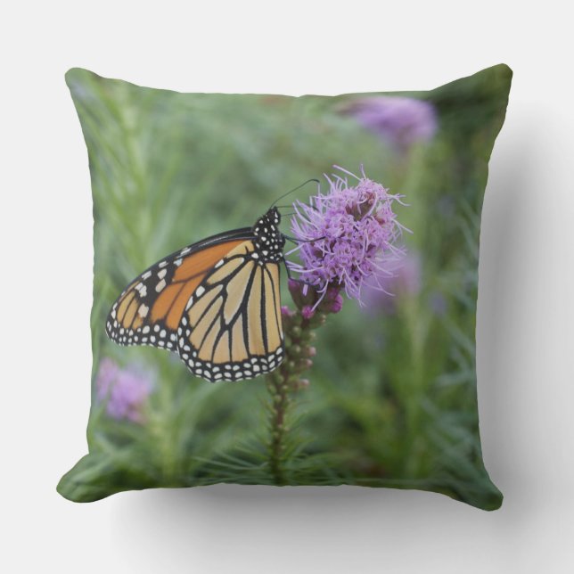 Monarch Butterfly Kussen (Voorkant)