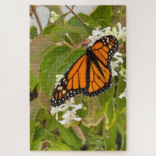 Monarch Butterfly Legpuzzel (Verticaal)