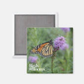 Monarch Butterfly Magneet (Voorkant / Achterkant)