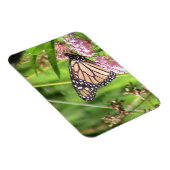 Monarch Butterfly Magneet (Rechterzijde)
