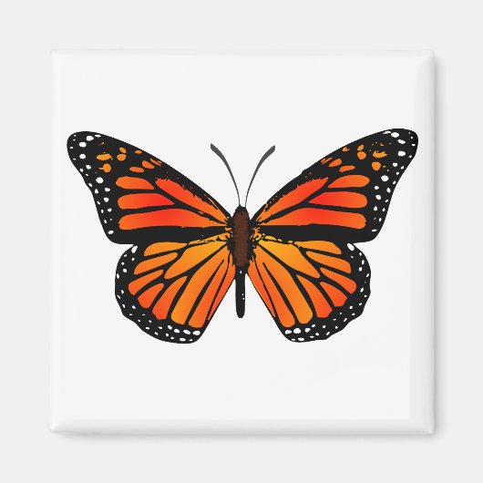 Monarch Butterfly Magneet (Voorkant)