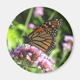 Monarch Butterfly Magnet Magneet