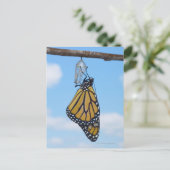 Monarch Butterfly, met Chrysalis Briefkaart (Staand voorkant)