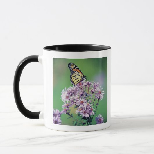 Monarch Butterfly Mok (Links)