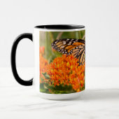 Monarch Butterfly-Mok, vlinder op molenroos Mok (Links)