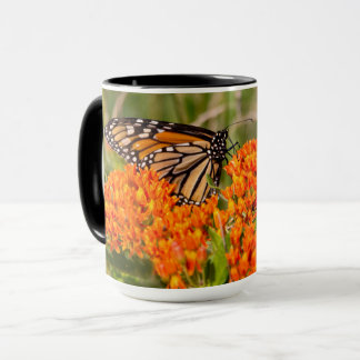Monarch Butterfly-Mok, vlinder op molenroos Mok