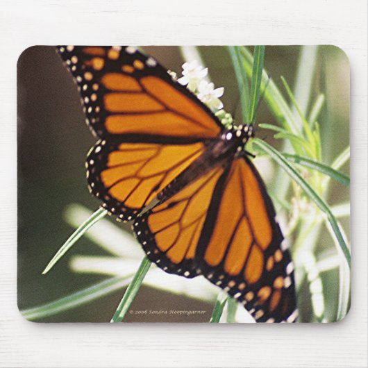 Monarch Butterfly Mousepad Muismat (Voorkant)