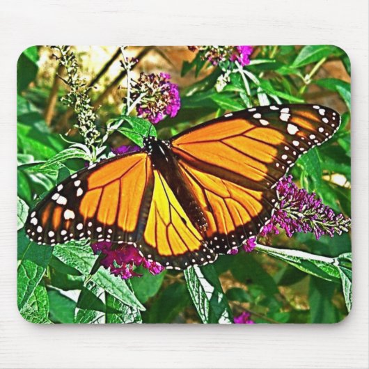 Monarch Butterfly Muismat (Voorkant)
