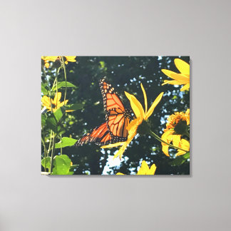 Monarch Butterfly on Flower Photograph  Canvas Afdruk