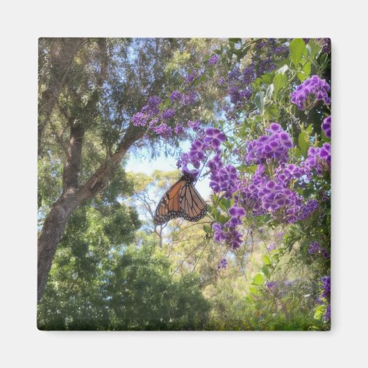Monarch Butterfly on Purple Flowers Magneet (Voorkant)