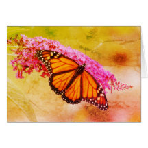 Monarch Butterfly op Boeddleia