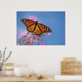 Monarch Butterfly op Crapmyrtle Poster (Keuken)