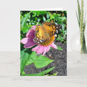 Monarch Butterfly op Echinacea Flower Kaart