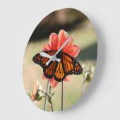 Monarch Butterfly op een Dahlia Grote Klok (Hoek)