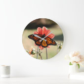 Monarch Butterfly op een Dahlia Grote Klok (Huis)