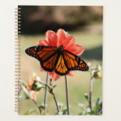 Monarch Butterfly op een Dahlia Planner (Voorkant)