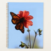 Monarch Butterfly op een Dahlia Planner (Voorkant)