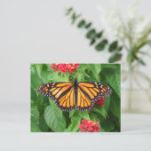 Monarch Butterfly op Lantana Blank Briefkaart (Staand voorkant)