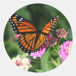 Monarch Butterfly op Lantana Flower Ronde Sticker