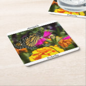 Monarch Butterfly op roze marigolfbloem Vierkante Kartonnen Onderzetter (Schuin)