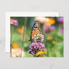 Monarch Butterfly op Verbena Blank Briefkaart