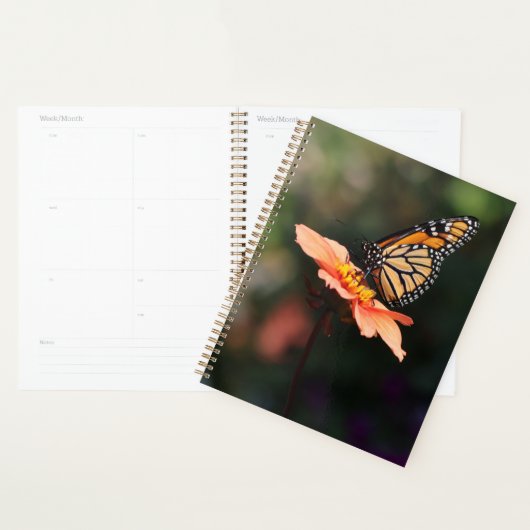 Monarch Butterfly op Verbena & Dahlia Planner (Display)