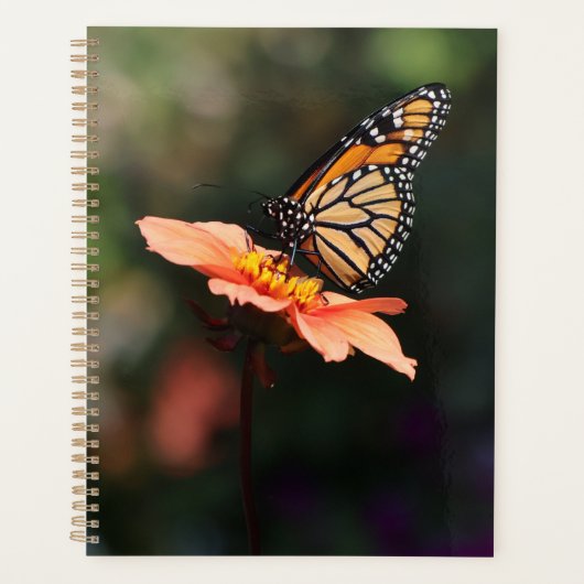 Monarch Butterfly op Verbena & Dahlia Planner (Voorkant)