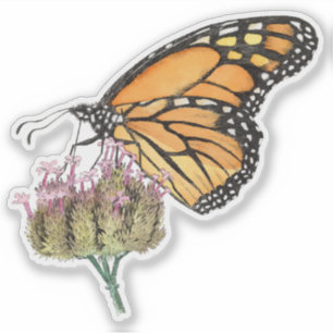 Monarch Butterfly op Verbena Waterverf en Ink Sticker