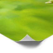 Monarch Butterfly op Wildflowers Waterverf Art Poster (Hoek)