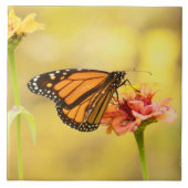 Monarch Butterfly op Zinnia Tegeltje (Voorkant)