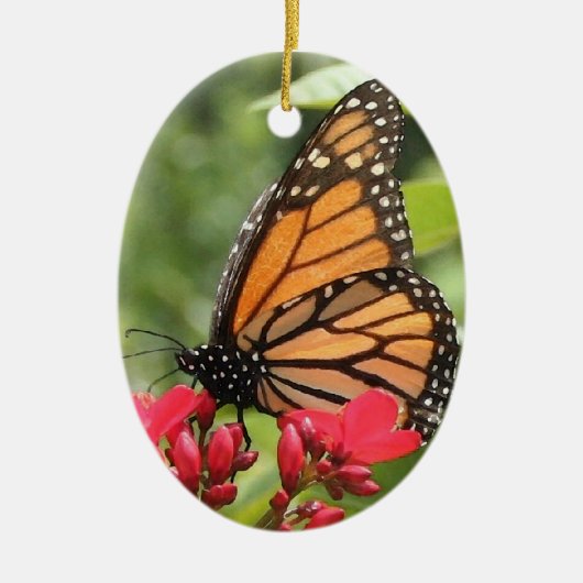 Monarch Butterfly Ornament (Voorkant)