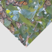 Monarch Butterfly-papier Tissuepapier (Detail)