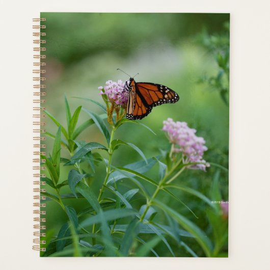 Monarch Butterfly Planner (Voorkant)