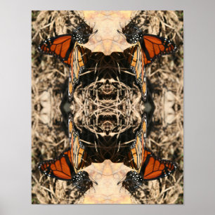 Monarch Butterfly Posing Natuur Abstract Poster