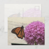 Monarch Butterfly Postcard Briefkaart (Voorkant / Achterkant)