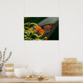 Monarch Butterfly Poster (Keuken)