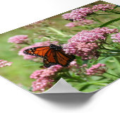 Monarch Butterfly poster (Hoek)