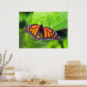 Monarch Butterfly Poster (Keuken)