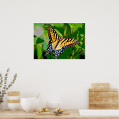 Monarch Butterfly Poster (Keuken)