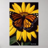 Monarch Butterfly Poster (Voorkant)