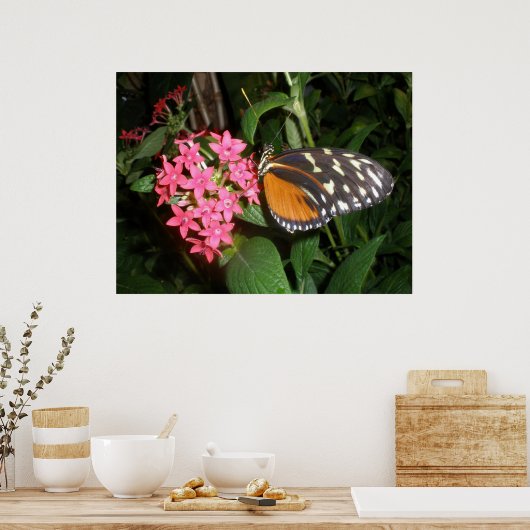Monarch Butterfly Print (Keuken)
