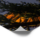 Monarch Butterfly Print (Hoek)